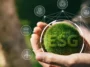 ESG Reporting in UAE