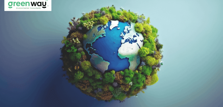 Environment Consultant
