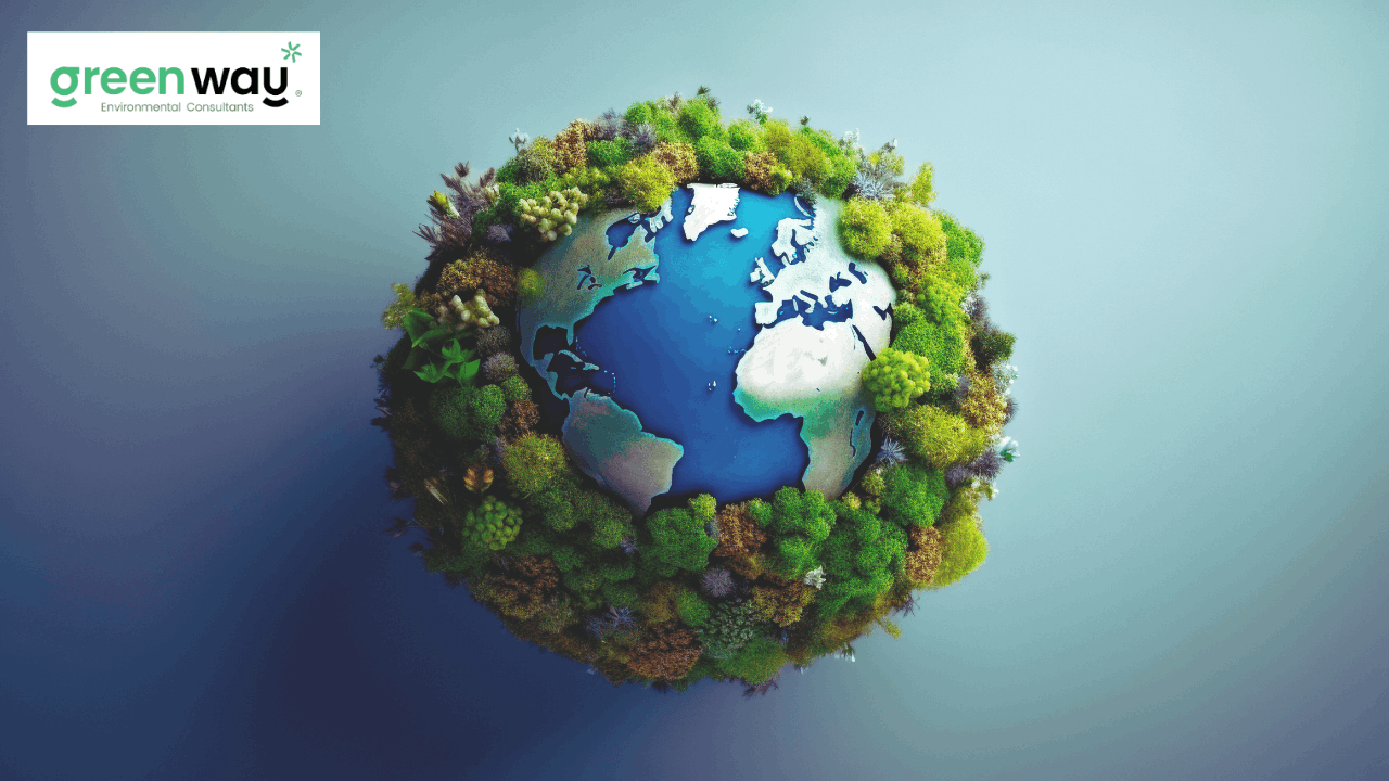 Environment Consultant